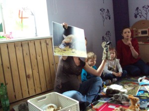 DSC06228